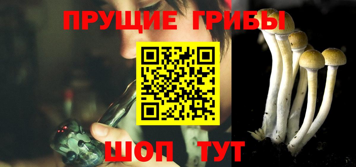 Галлюциногенные грибы ЛСД  купить   Усть-Джегута  Вход с VPN 